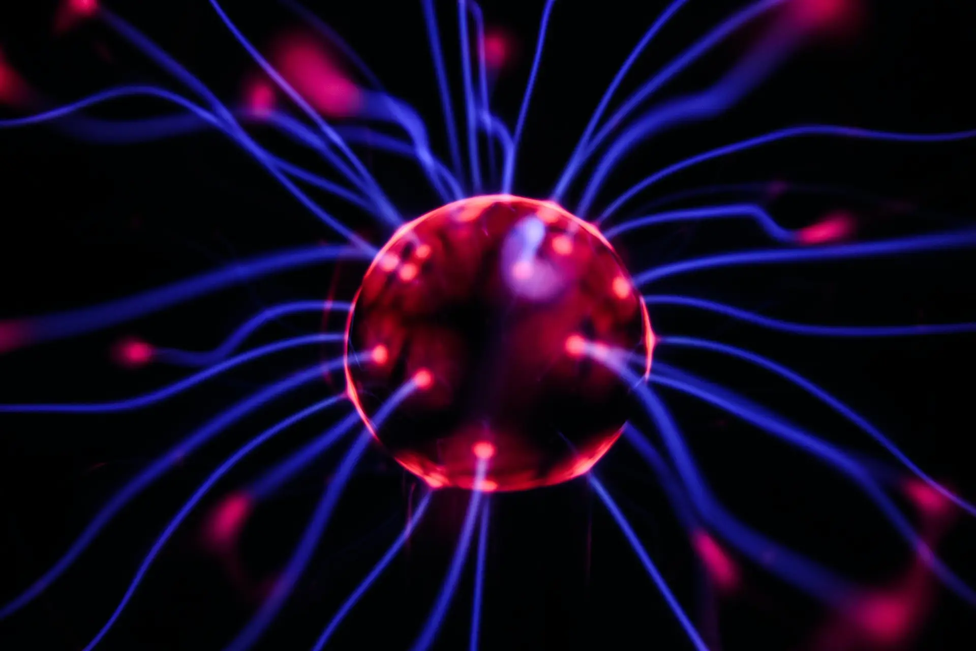 Read more about the article The Brain and Trauma