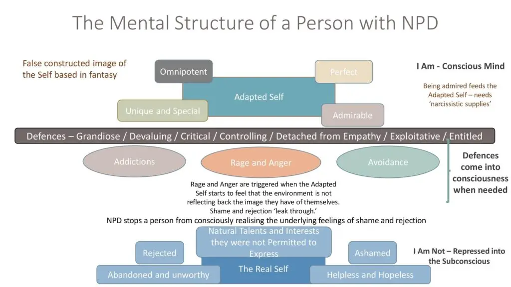 Narcissistic Defences