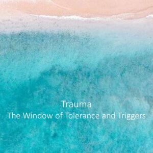 Complex Trauma – The Window of Tolerance and Triggers